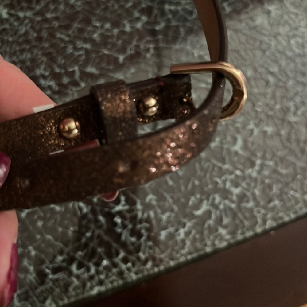 Ann Tylor belt